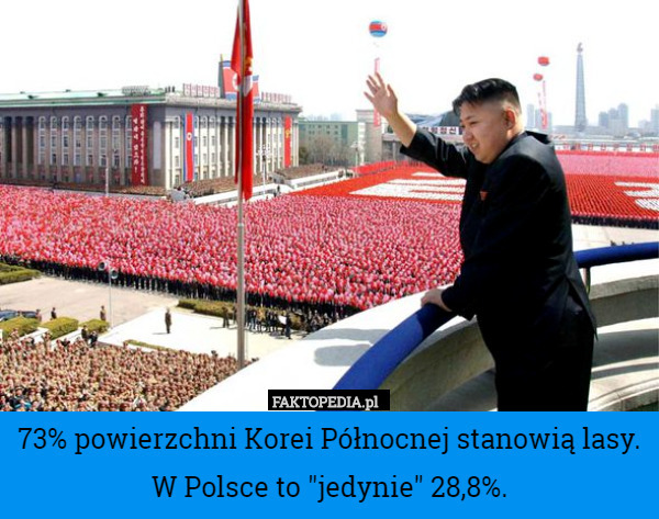 73% powierzchni Korei Północnej stanowią lasy. W Polsce to "jedynie"