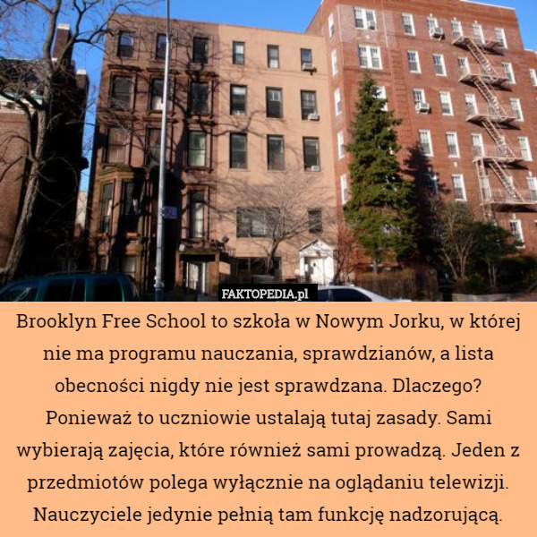 Brooklyn Free School to szkoła w Nowym Jorku, w której nie ma programu nauczania,