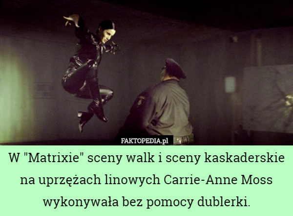 W "Matrixie" sceny walk i sceny kaskaderskie na uprzężach linowych