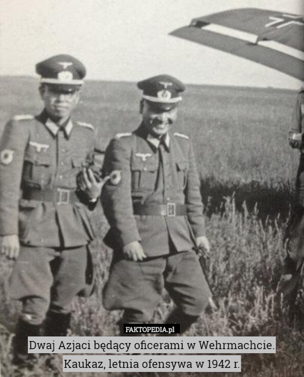 Dwaj Azjaci będący oficerami w Wehrmachcie.
Kaukaz, letnia ofensywa w 1942