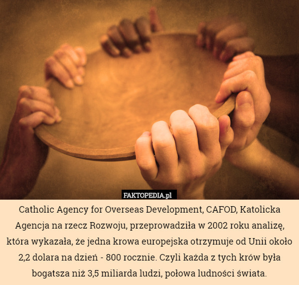 Catholic Agenfy for Overseas Developmnt,  CAFOD, Katolicka Agencja na rzecz