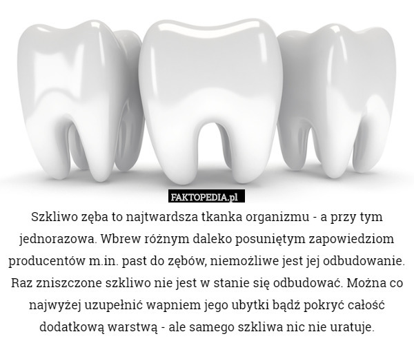 Szkliwo zęba to najtwardsza tkanka organizmu - a przy tym jednorazowa. Wbrew