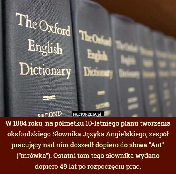 W 1884 roku, na półmetku 10-letniego planu tworzenia oksfordzkiego Słownika