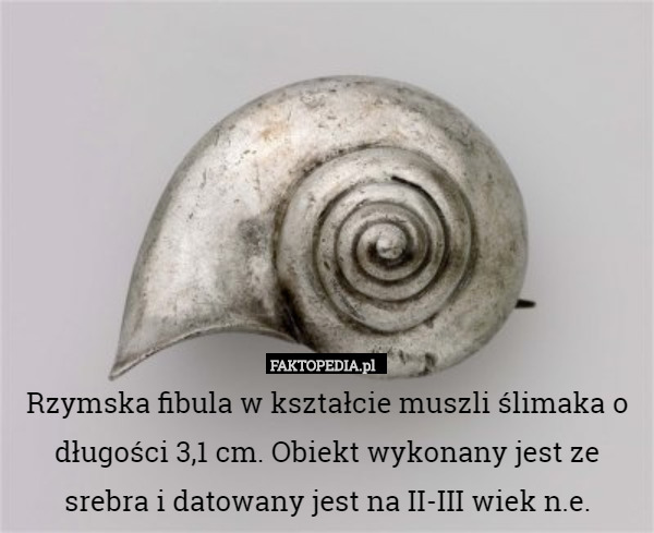 Rzymska fibula w kształcie muszli ślimaka o długości 3,1 cm. Obiekt wykonany