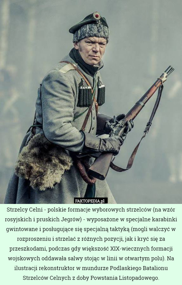 Strzelcy Celni-  polskie formacje wyborowych strzelców (na wzór rosyjskich