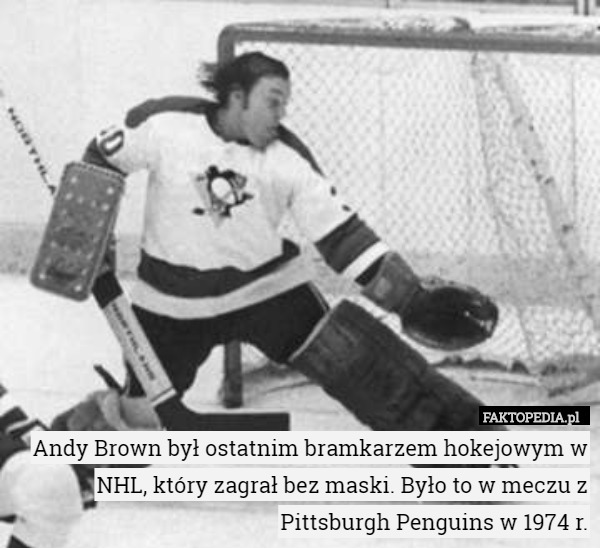 Andy Brown był ostatnim bramkarzem hokejowym w NHL, który zagrał bez maski