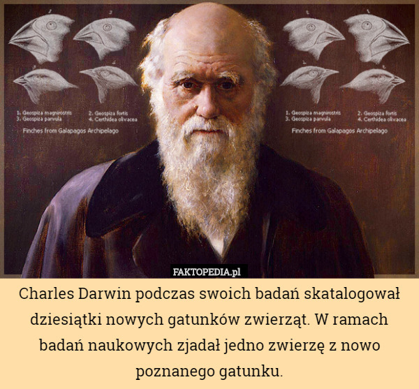 Charles Darwin podczas swoich badań skatalogował dziesiątki nowych gatunków
