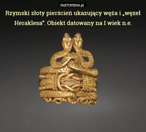 Rzymski złoty pierścień ukazujący węża i „węzeł Heraklesa”. Obiekt datowany