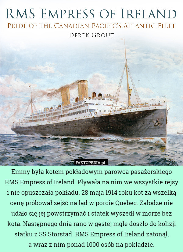 Emmy była kotem pokładowym parowca pasażerskiego RMS Empress of Ireland.