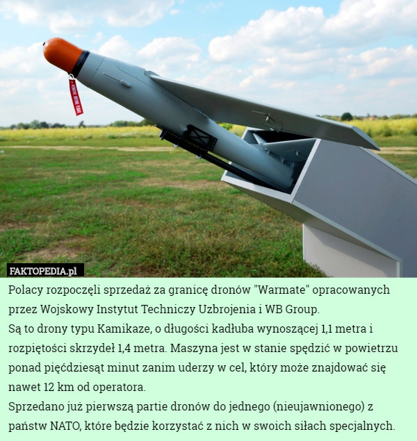 Polacy rozpoczęli sprzedaż za granicę dronów "Warmate" opracowanych