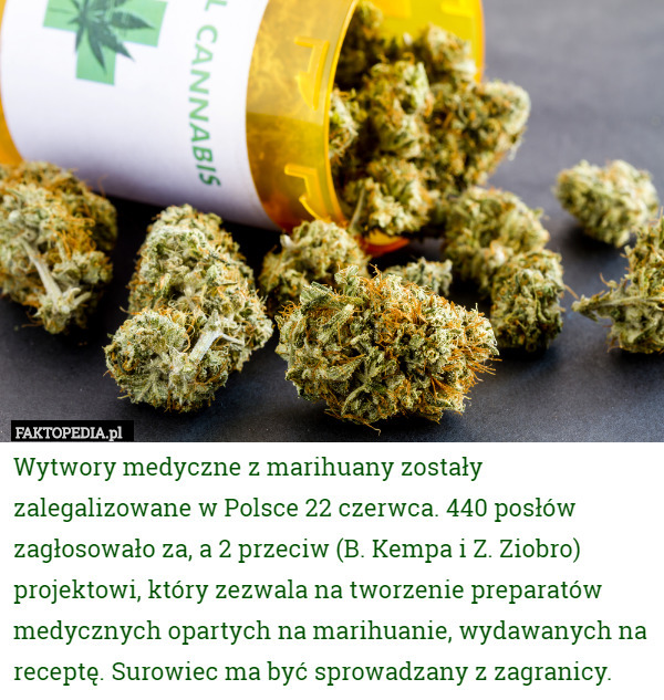 Wytwory medyczne z marihuany zostały zalegalizowane w Polsce 22 czerwca.