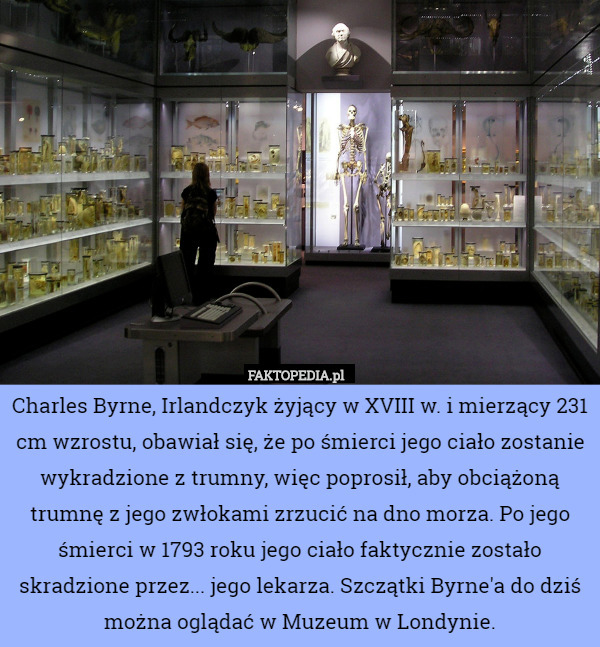 Charles Byrne, Irlandczyk żyjący w XVIII w. i mierzący 231 cm wzrostu, obawiał