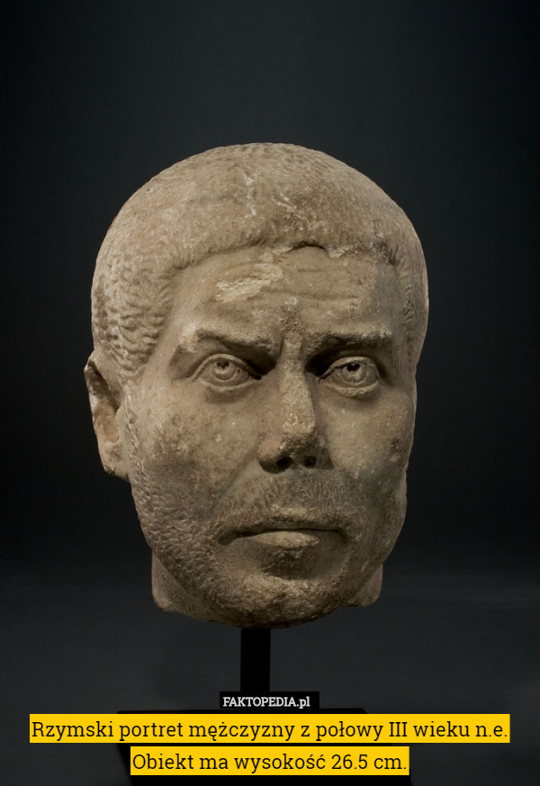 Rzymski portret mężczyzny z połowy III wieku n.e. Obiekt ma wysokość 26.5