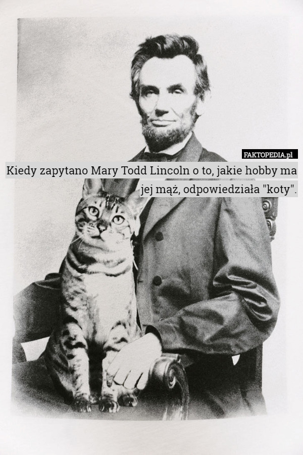 Kiedy zapytano Mary Todd Lincoln o to, jakie hobby ma jej mąż, odpowiedziała