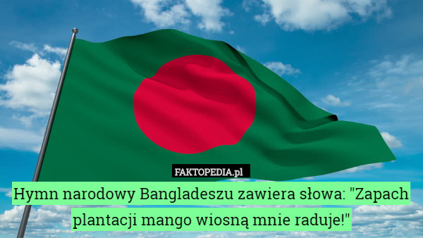 Hymn narodowy Bangladeszu zawiera słowa: "Zapach plantacji mango wiosną