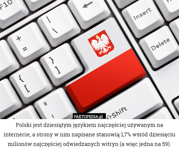 Polski jest dziesiątym językiem najczęściej używanym na internecie, a strony