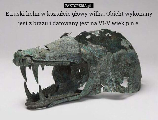 Etruski hełm w kształcie głowy wilka. Obiekt wykonany jest z brązu i datowany