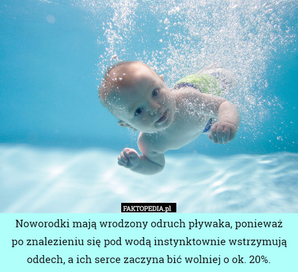 Noworodki mają wrodzony odruch pływaka, ponieważpo znalezieniu się pod