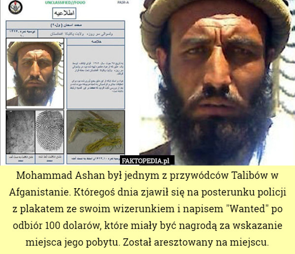 Mohammad Ashan był jednym z przywódców Talibów w Afganistanie. Któregoś