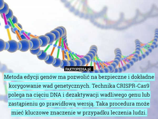 Metoda edycji genów ma pozwolić na bezpieczne i dokładne korygowanie wad
