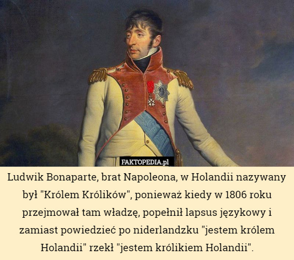 Ludwik Bonaparte, brat Napoleona, w Holandii nazywany był "Królem