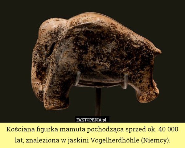 Kościana figurka mamuta pochodząca sprzed ok. 40 000 lat, znaleziona w jaskini