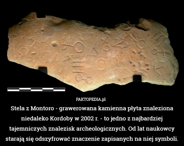 ​Stela z Montoro - grawerowana kamienna płyta znaleziona niedaleko Kordoby