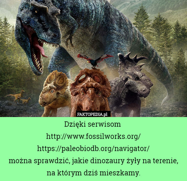 Dzięki serwisom http://www.fossilworks.org/https://paleobiodb.org/navigator/
