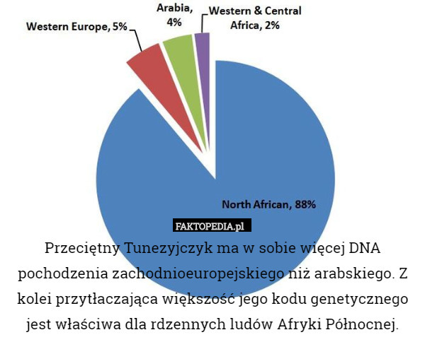 Przeciętny Tunezyjczyk ma w sobie więcej DNA pochodzenia zachodnioeuropejskiego
