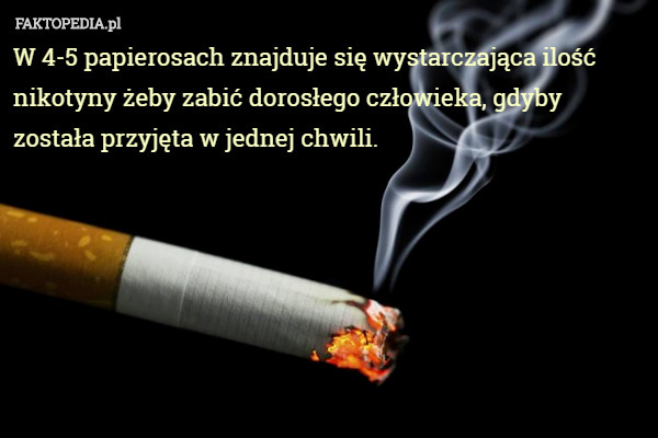 W 4-5 papierosach znajduje się wystarczająca ilość nikotyny żeby zabić dorosłego
