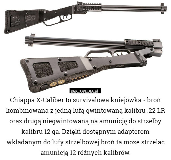 Chiappa X-Caliber to survivalowa kniejówka - broń kombinowana z jedną lufą