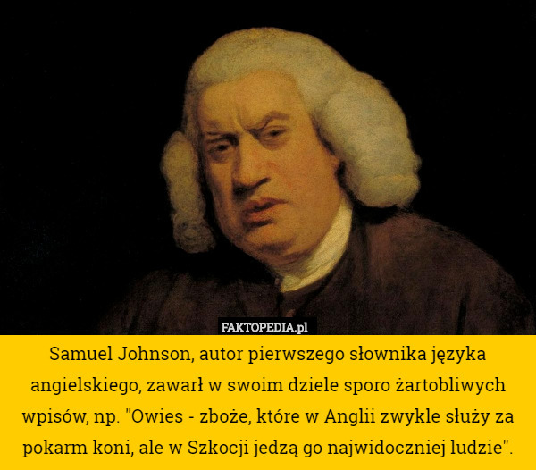 Samuel Johnson, autor pierwszego słownika języka angielskiego, zawarł w