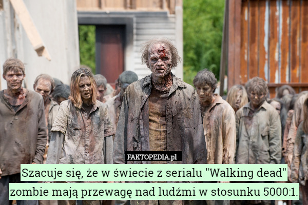 Szacuje się, że w świecie z serialu "Walking dead" zombie mają