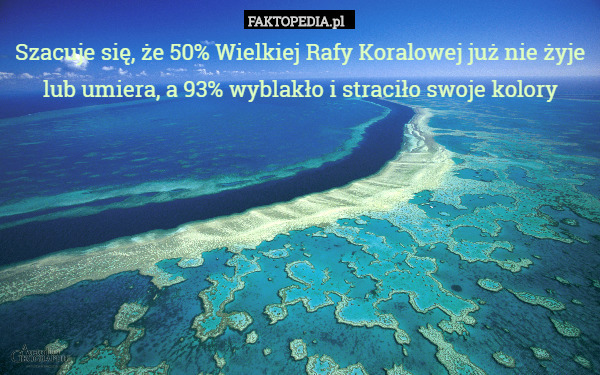 Szacuje się, że 50% Wielkiej Rafy Koralowej już nie żyje lub umiera, a...