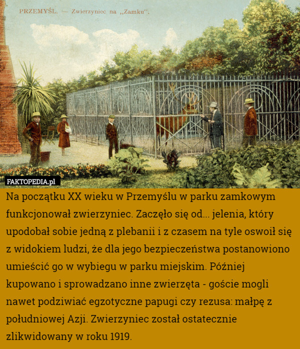 Na początku XX wieku w Przemyślu w parku zamkowym funkcjonował zwierzyniec.