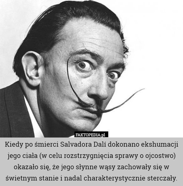 Kiedy po śmierci Salvadora Dalí dokonano ekshumacji jego ciała (w celu rozstrzygnięcia