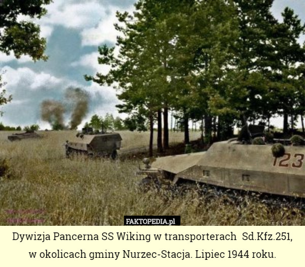 Dywizja Pancerna SS Wiking w transporterach  Sd.Kfz.251, w okolicach gminy...