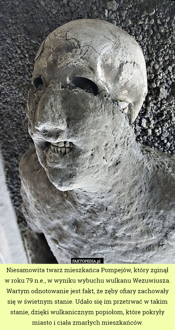 Niesamowita twarz mieszkańca Pompejów, który zginął w roku 79 n.e., w wyniku...