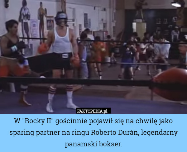 W "Rocky II" gościnnie pojawił się na chwilę jako sparing partner