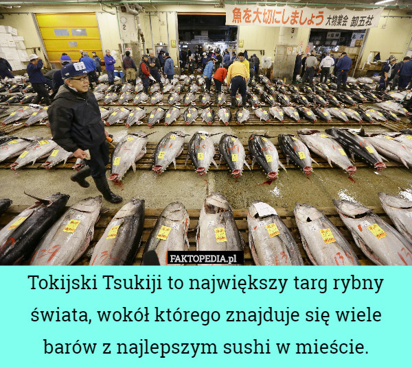 Tokijski Tsukiji to największy targ rybny świata, wokół którego znajduje...