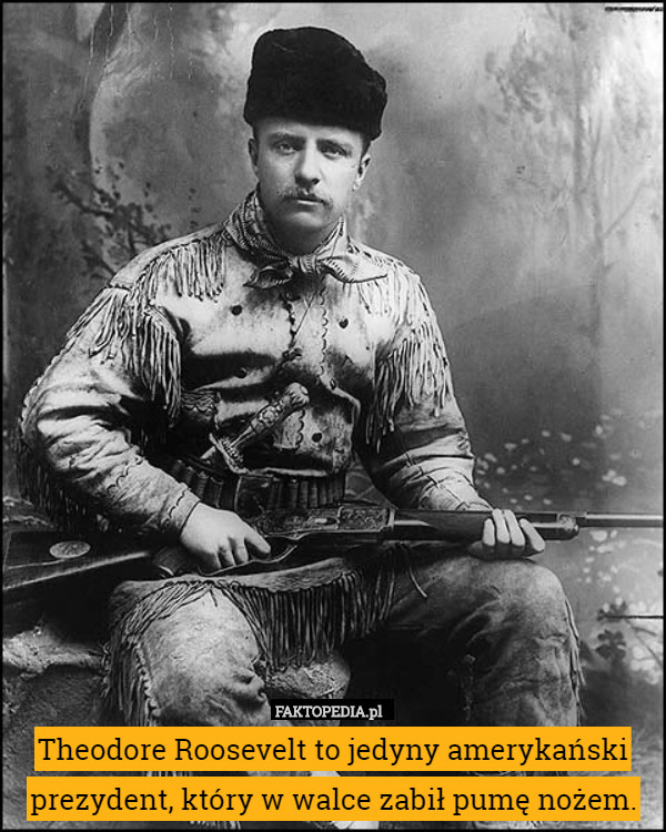 Theodore Roosevelt to jedyny amerykański prezydent, który w walce zabił...