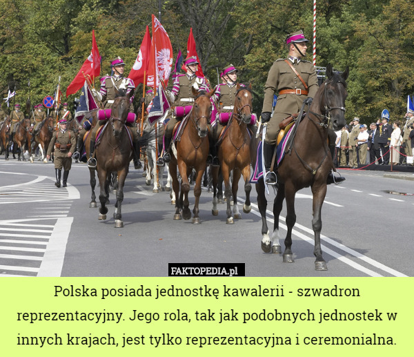 Polska posiada jednostkę kawalerii - szwadron reprezentacyjny. Jego rola...