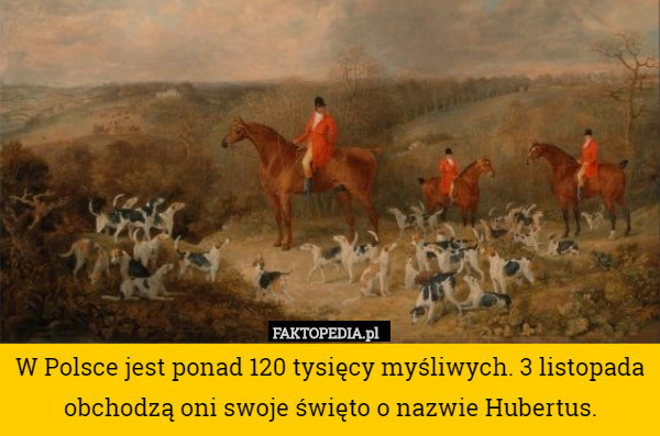 W Polsce jest ponad 120 tysięcy myśliwych. 3 listopada obchodzą oni swoje