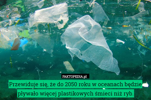Przewiduje się, że do 2050 roku w oceanach będzie pływało więcej plastikowych
