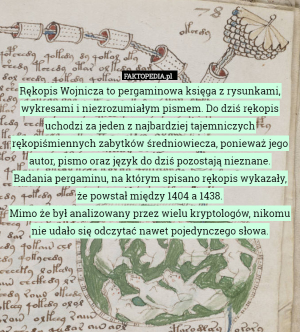 Rękopis Wojnicza to pergaminowa księga z rysunkami, wykresami i niezrozumiałym