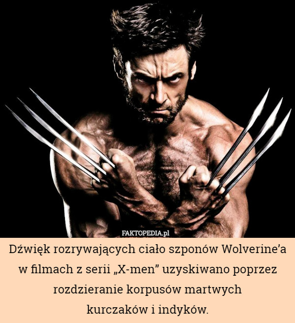 Dźwięk rozrywających ciało szponów Wolverine’a w filmach z serii „X-men”