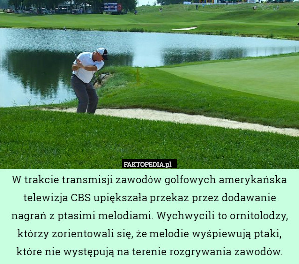 W trakcie transmisji zawodów golfowych amerykańska telewizja CBS upiększała
