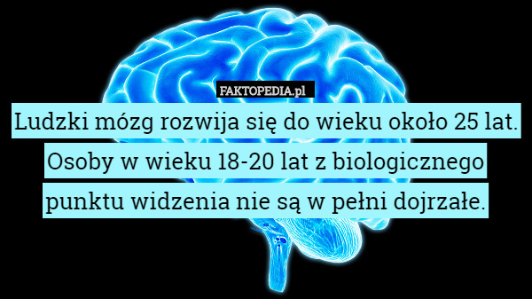 Ludzki mózg rozwija się do wieku około 25 lat. Osoby w wieku 18-20 lat z