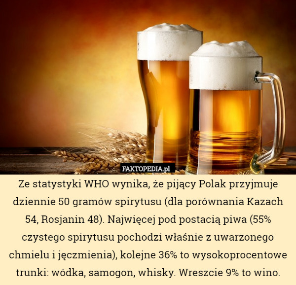 Ze statystyki WHO wynika, że pijący Polak przyjmuje dziennie 50 gramów spirytusu