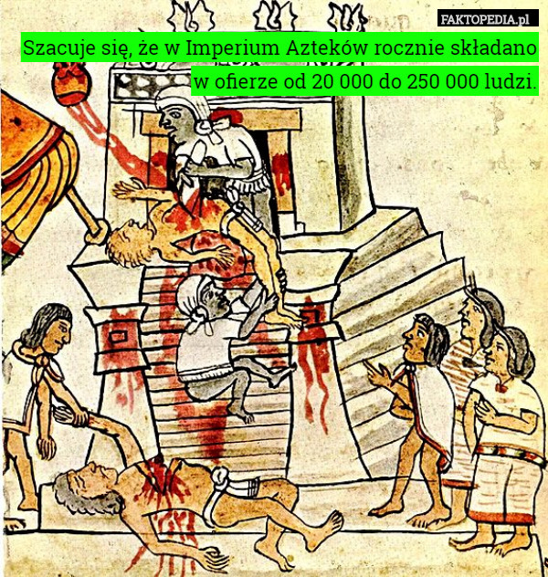 Szacuje się, że w Imperium Azteków składano w ofierze od 20 000 do 250 000
